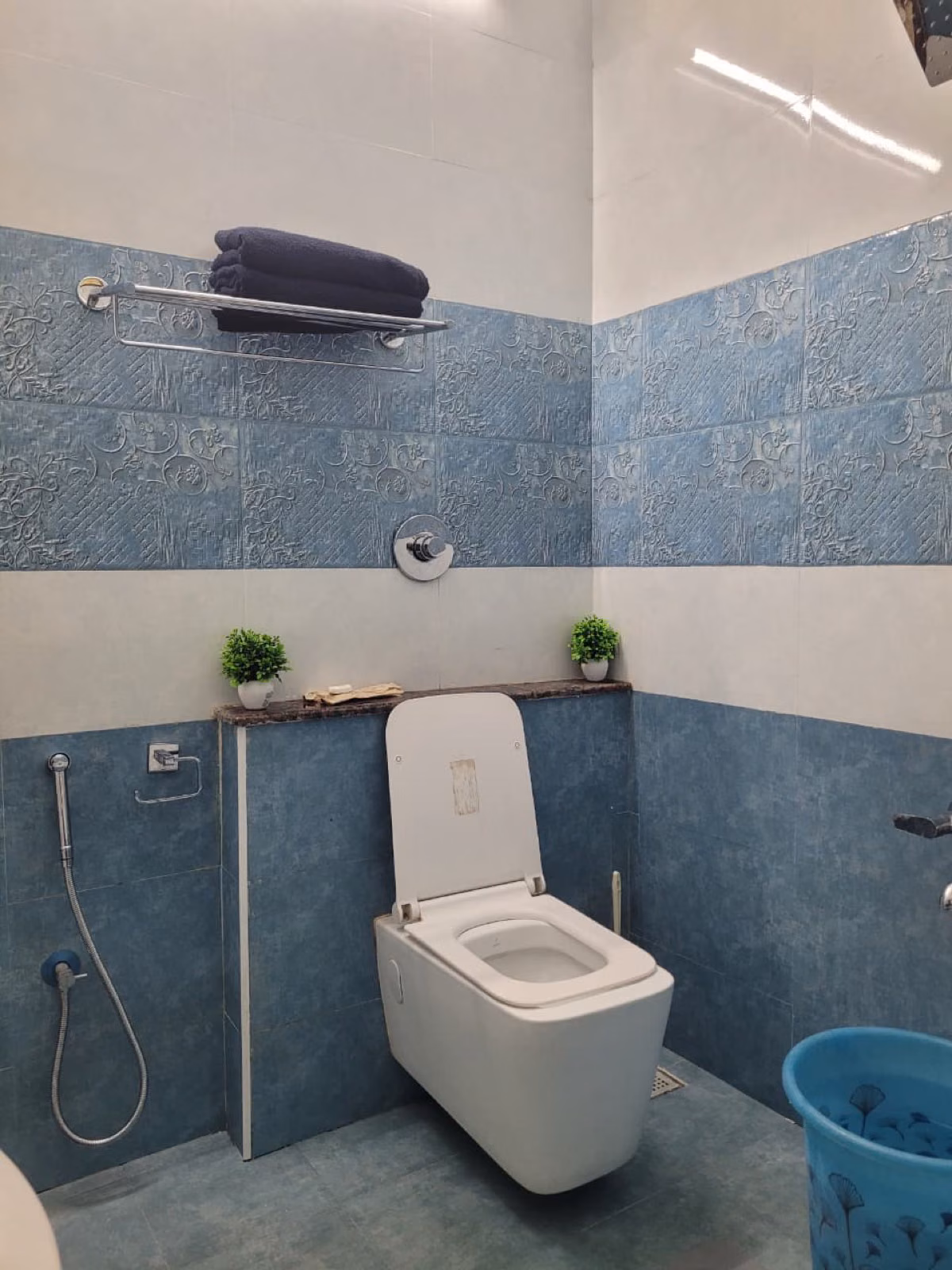 Bathroom with toilet, towel rack and indoor plants
